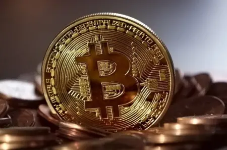 Risorge il Bitcoin nel 2024