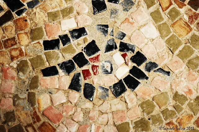 Mosaico romano esposto al pubblico per la prima volta