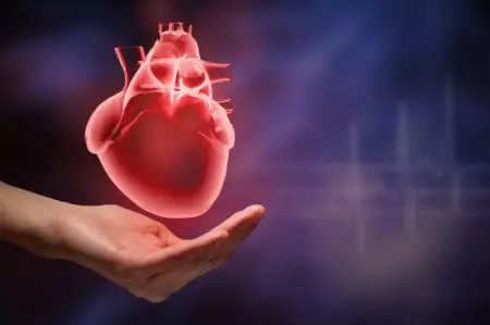 Il Cuore Conta: Guida al Benessere Cardiovascolare per una Vita Duratura