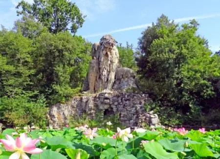 Musica e Arte ai Piedi del Gigante: Il Musart Festival al Parco Mediceo di Pratolino