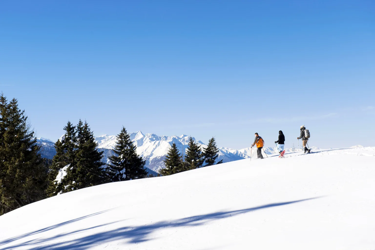 Monte San Vigilio (Alto Adige)